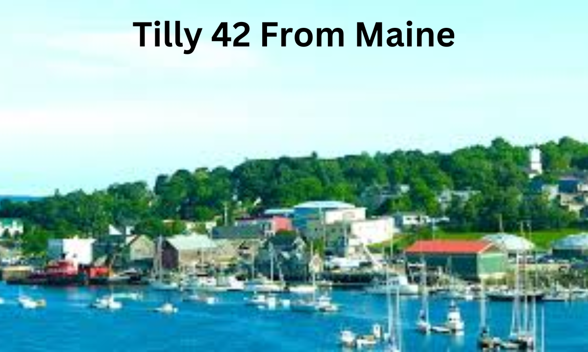 Your paTilly 42 From Mainer 2